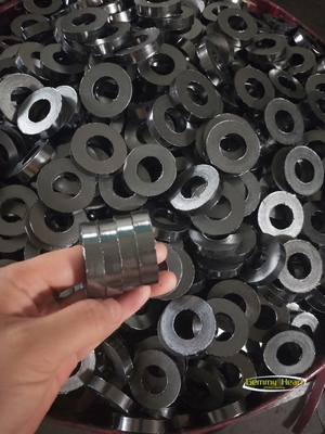 1m di diametro esterno di guarnizione a spirale con guarnizione di grafite standard Ss304
