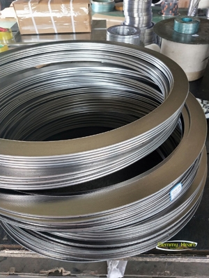 Guarnizione a spirale SWG-SS304 personalizzata per prestazioni di tenuta superiori